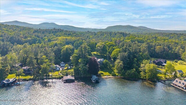 18 Chipwick Ln, Hague, NY 12836 - photo 85
