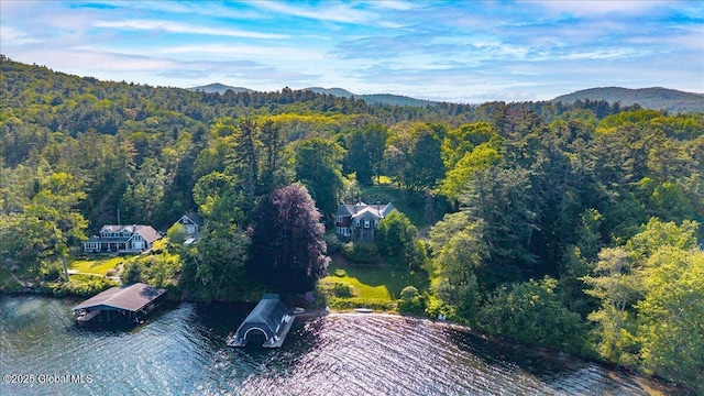 18 Chipwick Ln, Hague, NY 12836 - photo 3