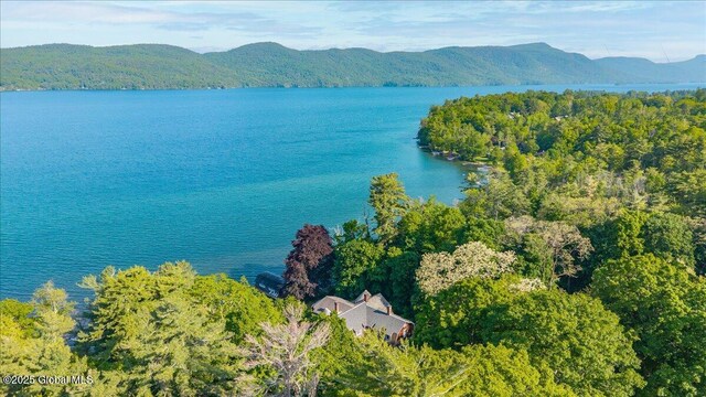 18 Chipwick Ln, Hague, NY 12836 - photo 89