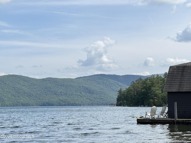 18 Chipwick Ln, Hague, NY 12836 - photo 6