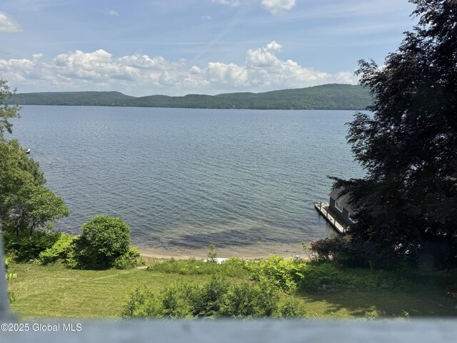 18 Chipwick Ln, Hague, NY 12836 - photo 88