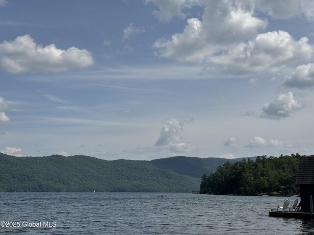 18 Chipwick Ln, Hague, NY 12836 - photo 90