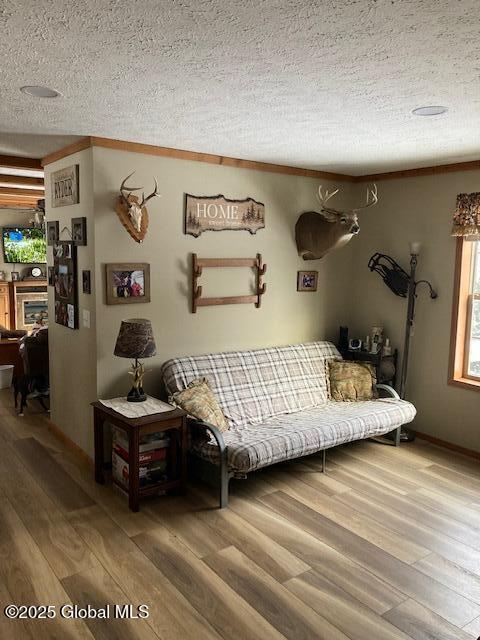 841 Battle Hill Rd, Hague, NY 12836 - living area with wood finished floors and a textured ceiling