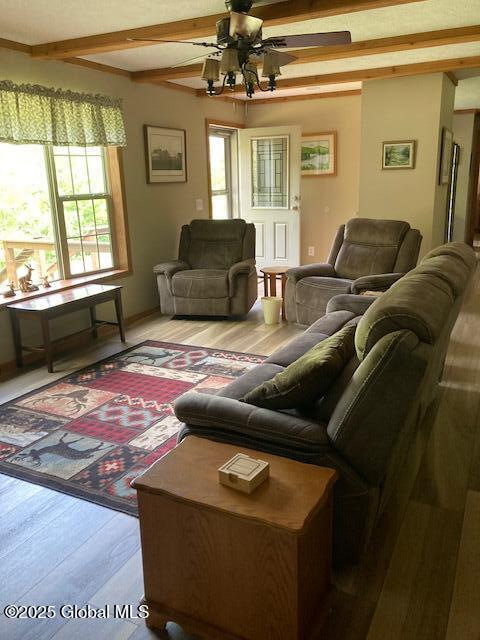 841 Battle Hill Rd, Hague, NY 12836 - living area featuring plenty of natural light, light wood-type flooring, a ceiling fan, and beam ceiling