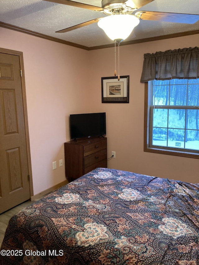 841 Battle Hill Rd, Hague, NY 12836 - bedroom featuring crown molding, a ceiling fan, and a textured ceiling