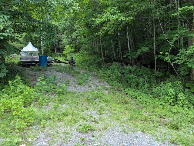 841 Battle Hill Rd, Hague, NY 12836 - view of yard with a view of trees