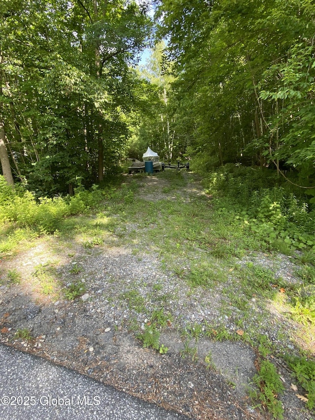 841 Battle Hill Rd, Hague, NY 12836 - view of yard