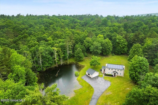 61 Lemaire Way, Argyle, NY 12809 - aerial view of property and surrounding area with a large body of water and a heavily wooded area