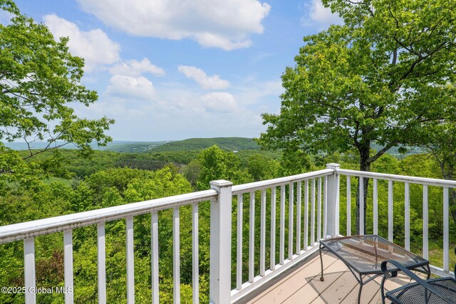 340 Oak Meadows Rd, Middleburgh, NY 12157 - photo 51
