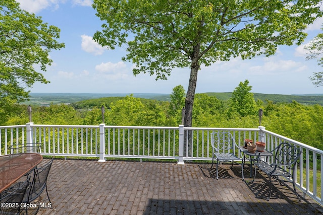 340 Oak Meadows Rd, Middleburgh, NY 12157 - photo 54