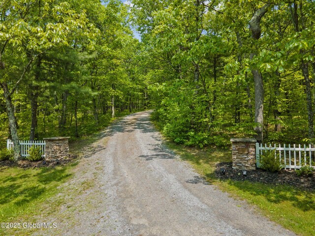 340 Oak Meadows Rd, Middleburgh, NY 12157 - photo 4
