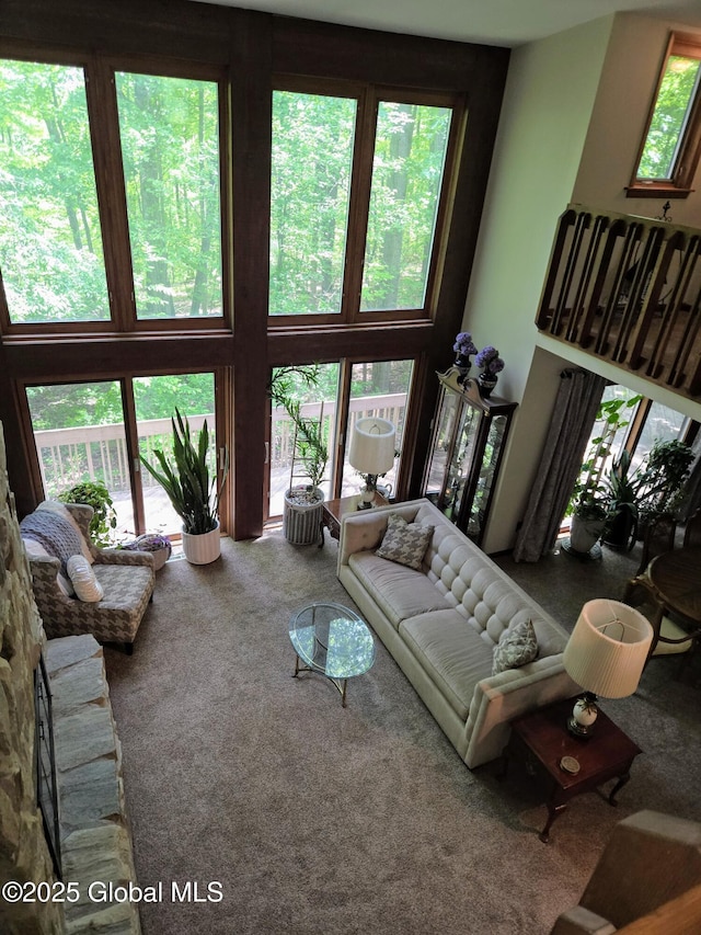 251 Vernon Rd, Glenville, NY 12302 - carpeted living room with a high ceiling