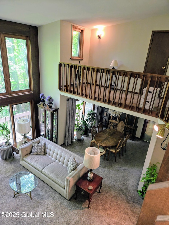 251 Vernon Rd, Glenville, NY 12302 - living room featuring carpet and healthy amount of natural light