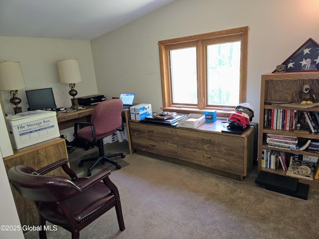 251 Vernon Rd, Glenville, NY 12302 - office with light carpet