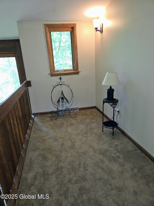 251 Vernon Rd, Glenville, NY 12302 - spare room with plenty of natural light, carpet, and baseboards