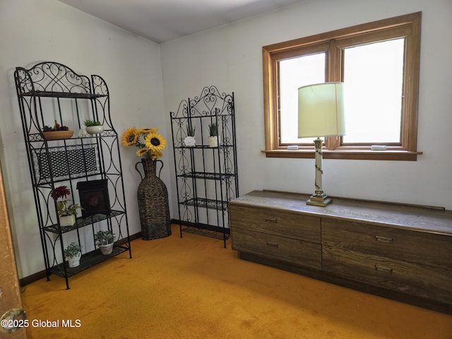 251 Vernon Rd, Glenville, NY 12302 - sitting room featuring light colored carpet and baseboards
