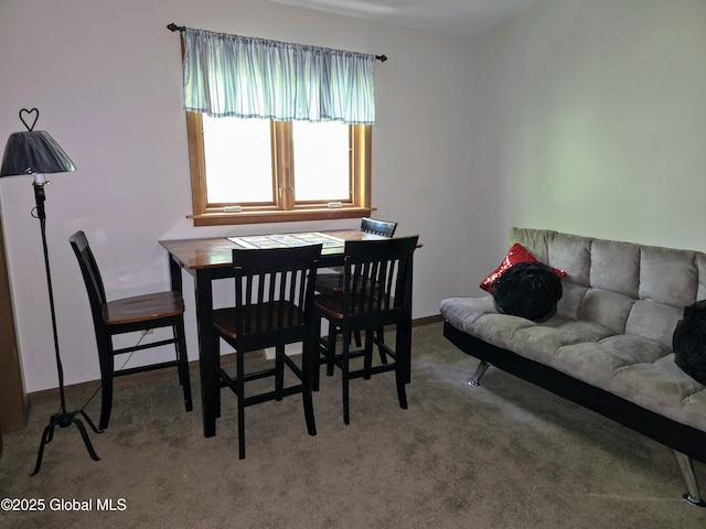 251 Vernon Rd, Glenville, NY 12302 - dining area featuring carpet flooring and baseboards