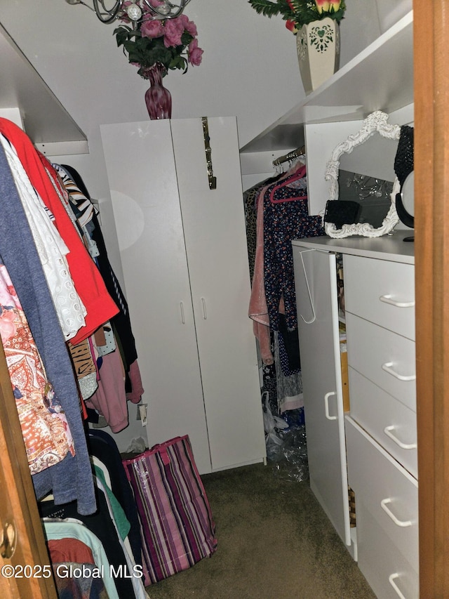 251 Vernon Rd, Glenville, NY 12302 - walk in closet featuring carpet
