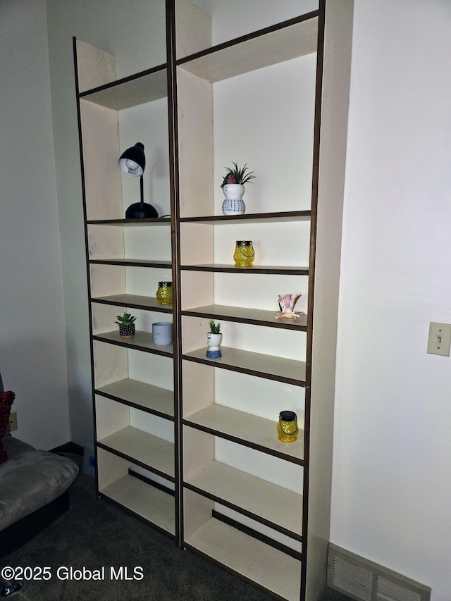 251 Vernon Rd, Glenville, NY 12302 - view of closet