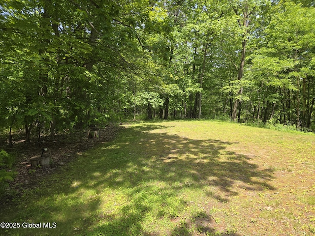 251 Vernon Rd, Glenville, NY 12302 - view of green lawn with a wooded view