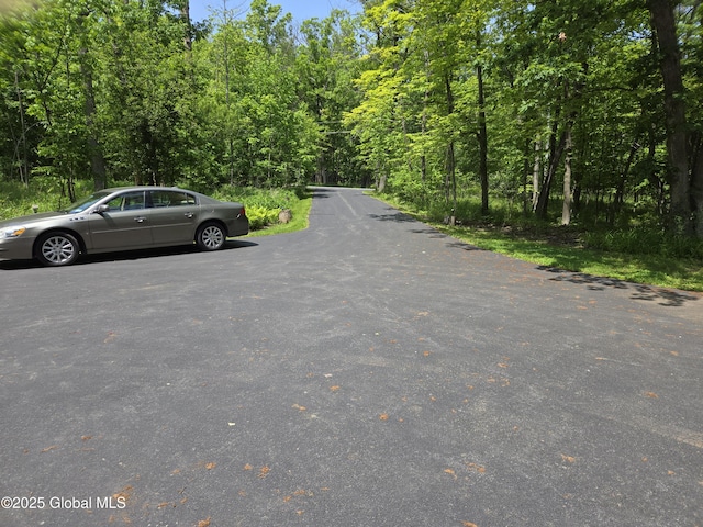 251 Vernon Rd, Glenville, NY 12302 - view of asphalt street with a wooded view