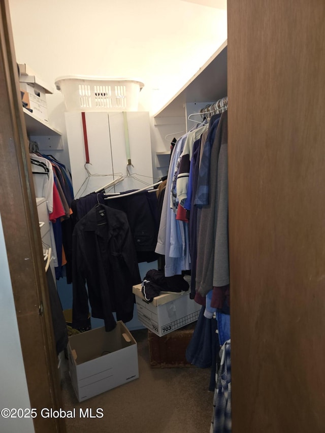 251 Vernon Rd, Glenville, NY 12302 - walk in closet featuring carpet flooring