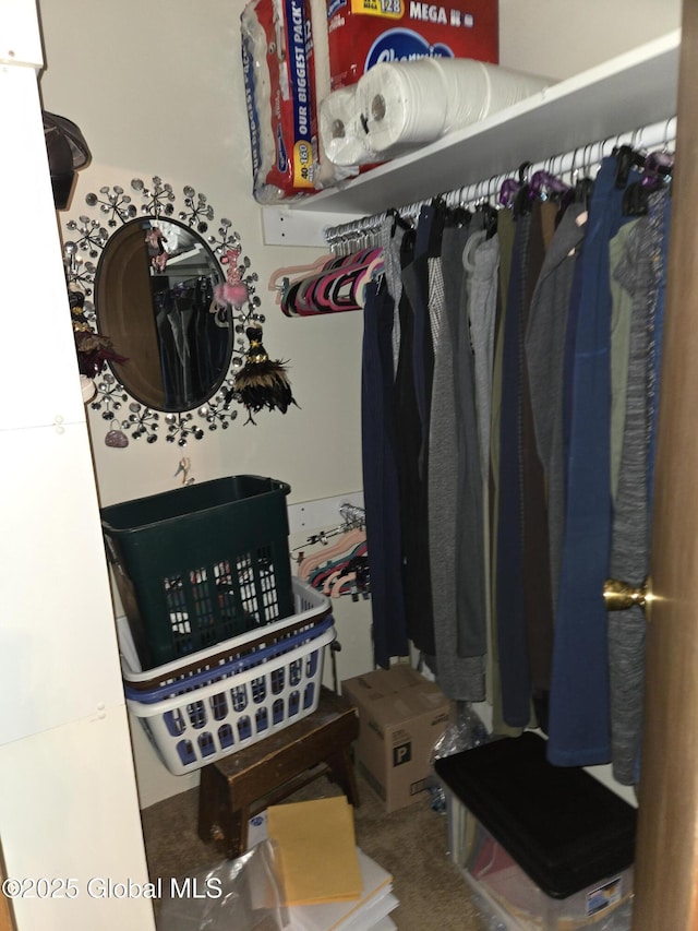 251 Vernon Rd, Glenville, NY 12302 - view of spacious closet