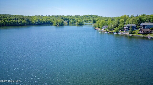 66-74 Lakeshore Dr, Nassau, NY 12018 - photo 10