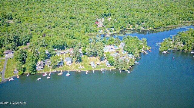 66-74 Lakeshore Dr, Nassau, NY 12018 - photo 5