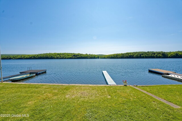 66-74 Lakeshore Dr, Nassau, NY 12018 - photo 129
