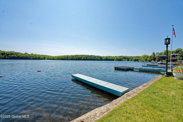 66-74 Lakeshore Dr, Nassau, NY 12018 - photo 128