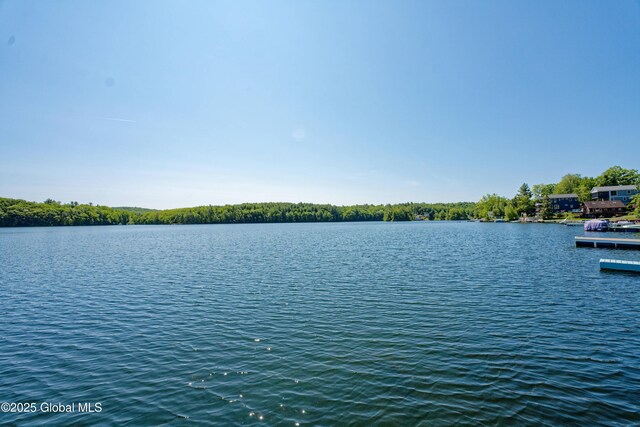 66-74 Lakeshore Dr, Nassau, NY 12018 - photo 132