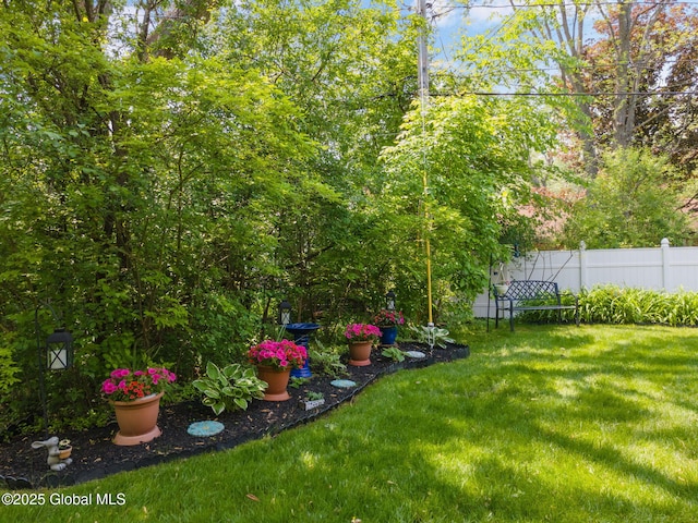 1401 Balltown Rd, Niskayuna, NY 12309 - view of yard