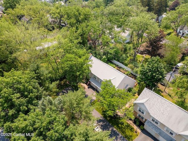 1401 Balltown Rd, Niskayuna, NY 12309 - aerial view