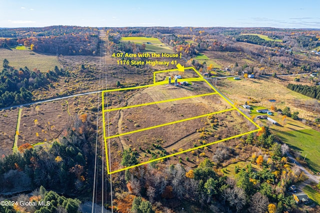 1176 State Highway 41, Afton, NY 13730 - overview of rural landscape
