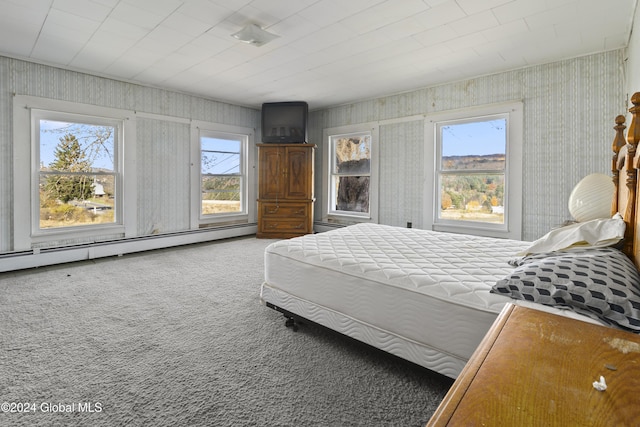 1176 State Highway 41, Afton, NY 13730 - carpeted bedroom with a baseboard radiator