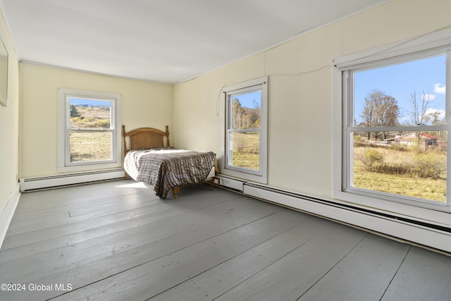 1176 State Highway 41, Afton, NY 13730 - bedroom featuring baseboard heating