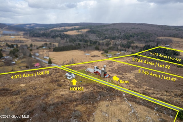 1176 State Highway 41, Afton, NY 13730 - view of property location featuring property parcel outlined and mountains
