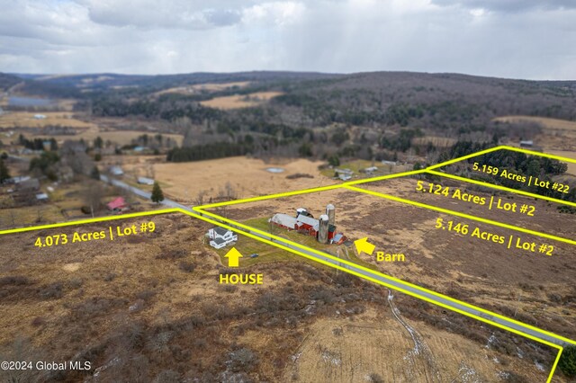 L13 Morgan Hill Rd, Afton, NY 13730