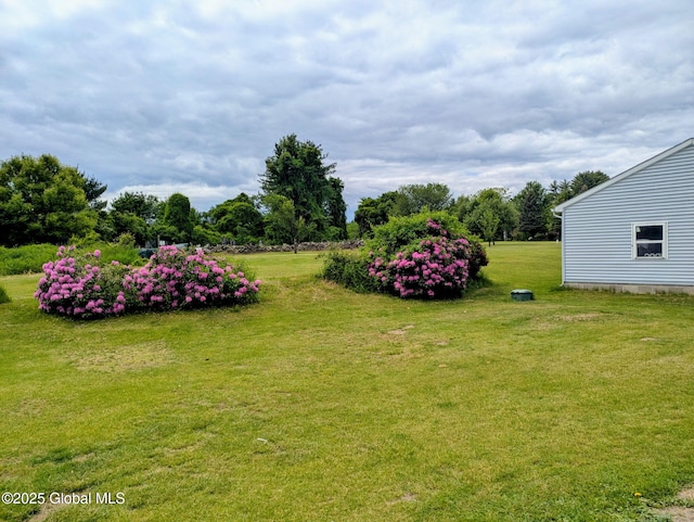 19 Cartier Ln, Fort Ann, NY 12827 - view of grassy yard