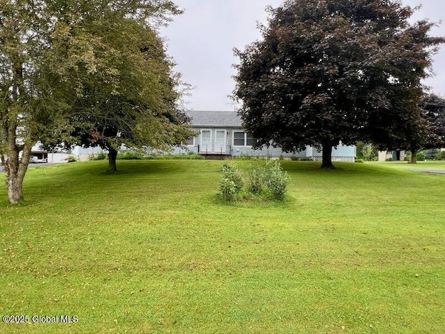 19 Cartier Ln, Fort Ann, NY 12827 - view of grassy yard