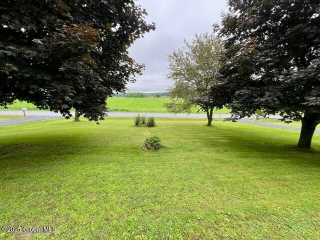 19 Cartier Ln, Fort Ann, NY 12827 - view of green lawn