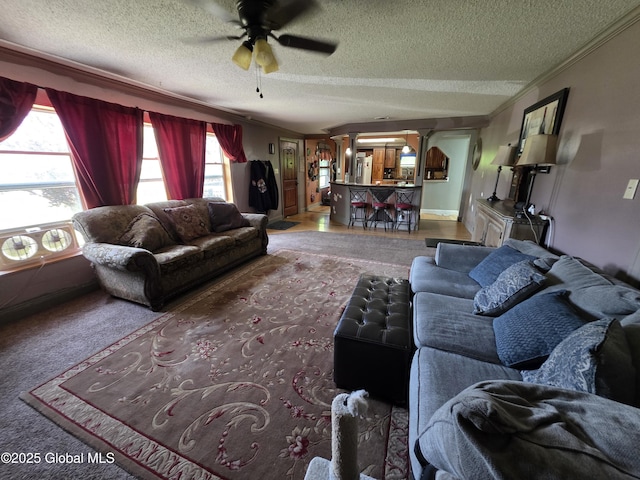 3841 State Highway 30, Mayfield, NY 12010 - living room with a textured ceiling, ceiling fan, and ornamental molding