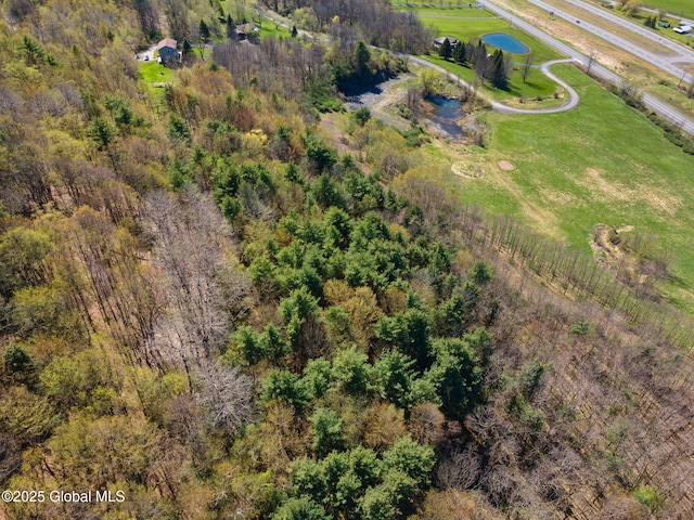 L9 Ski Tow Rd, Cobleskill, NY 12043