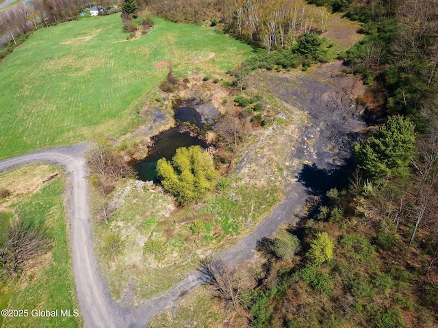 L9 Ski Tow Rd, Cobleskill, NY 12043