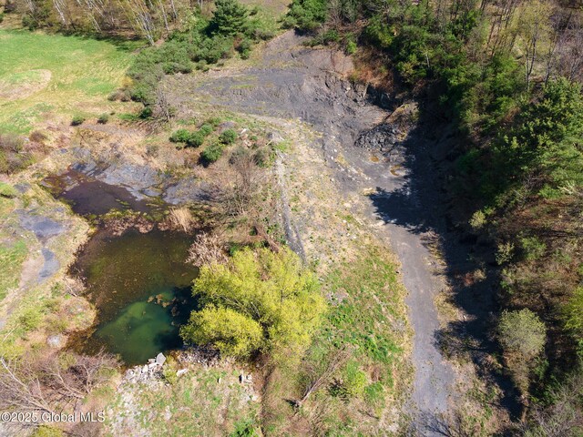 L9 Ski Tow Rd, Cobleskill, NY 12043