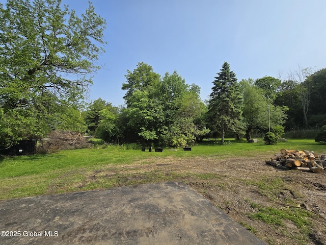 168 Spring Rd, Glenville, NY 12302 - photo 26