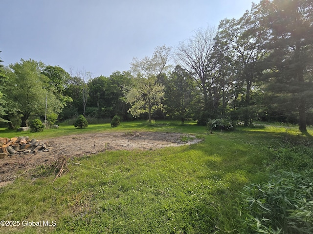 168 Spring Rd, Glenville, NY 12302 - photo 27