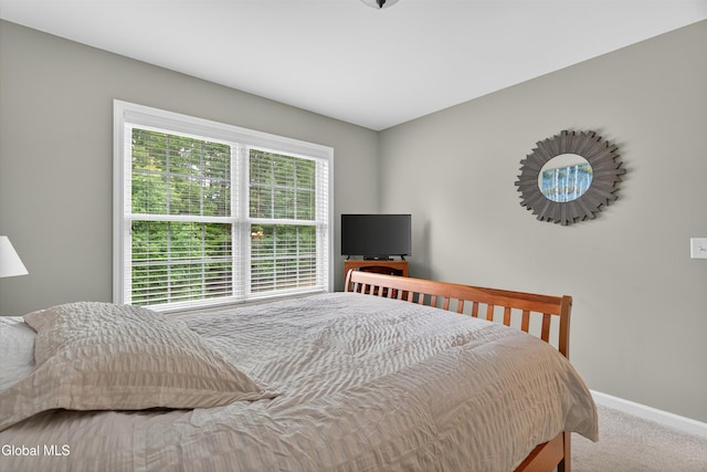 27 Praise Ln, Glenville, NY 12302 - photo 33