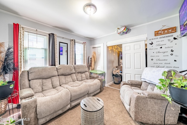 2420 Guilderland Ave, Schenectady, NY 12306 - carpeted living room featuring crown molding